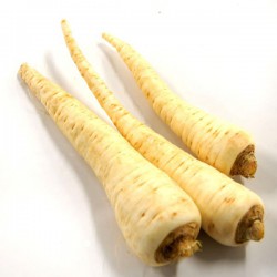 Racines de persil - 500 gr (France)