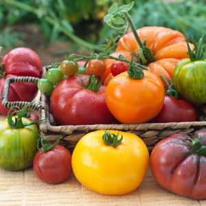Tomates spéciales anciennes - 1 kg (Pays)