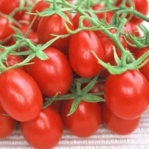 Tomates olivettes - 1 kg (Production Duay/Pays)