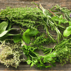 Herbes aromatiques